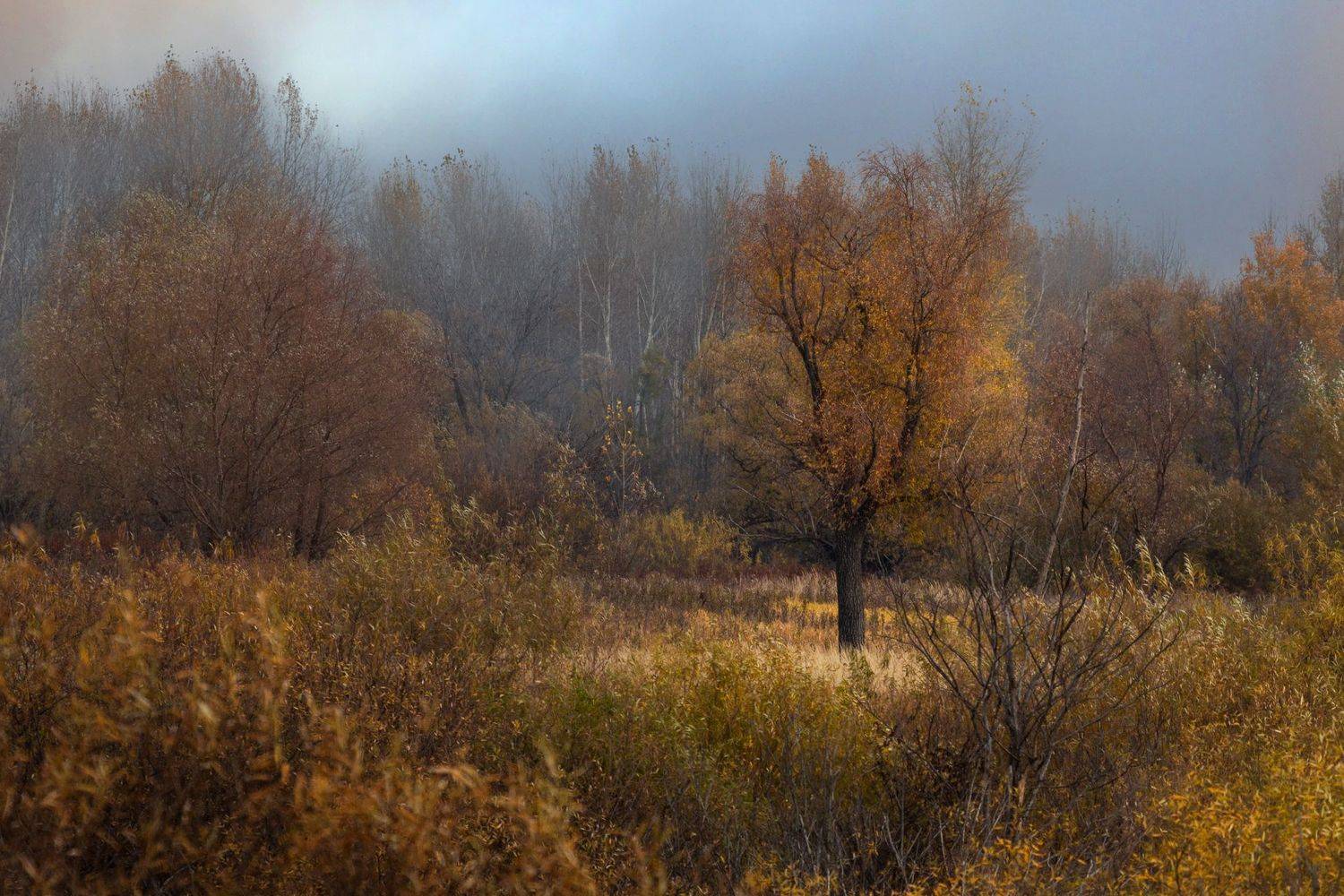 , Марат Кучкаев