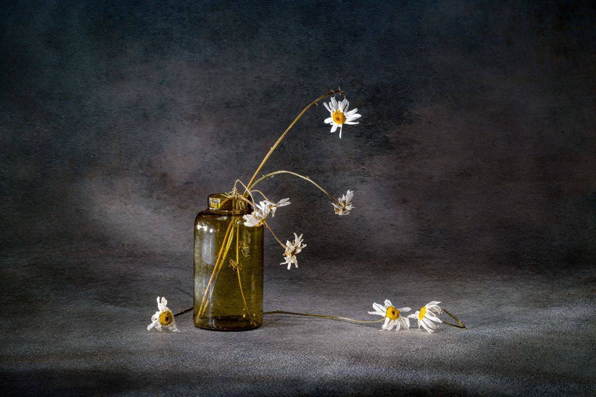 close-up, Игорь Копцев