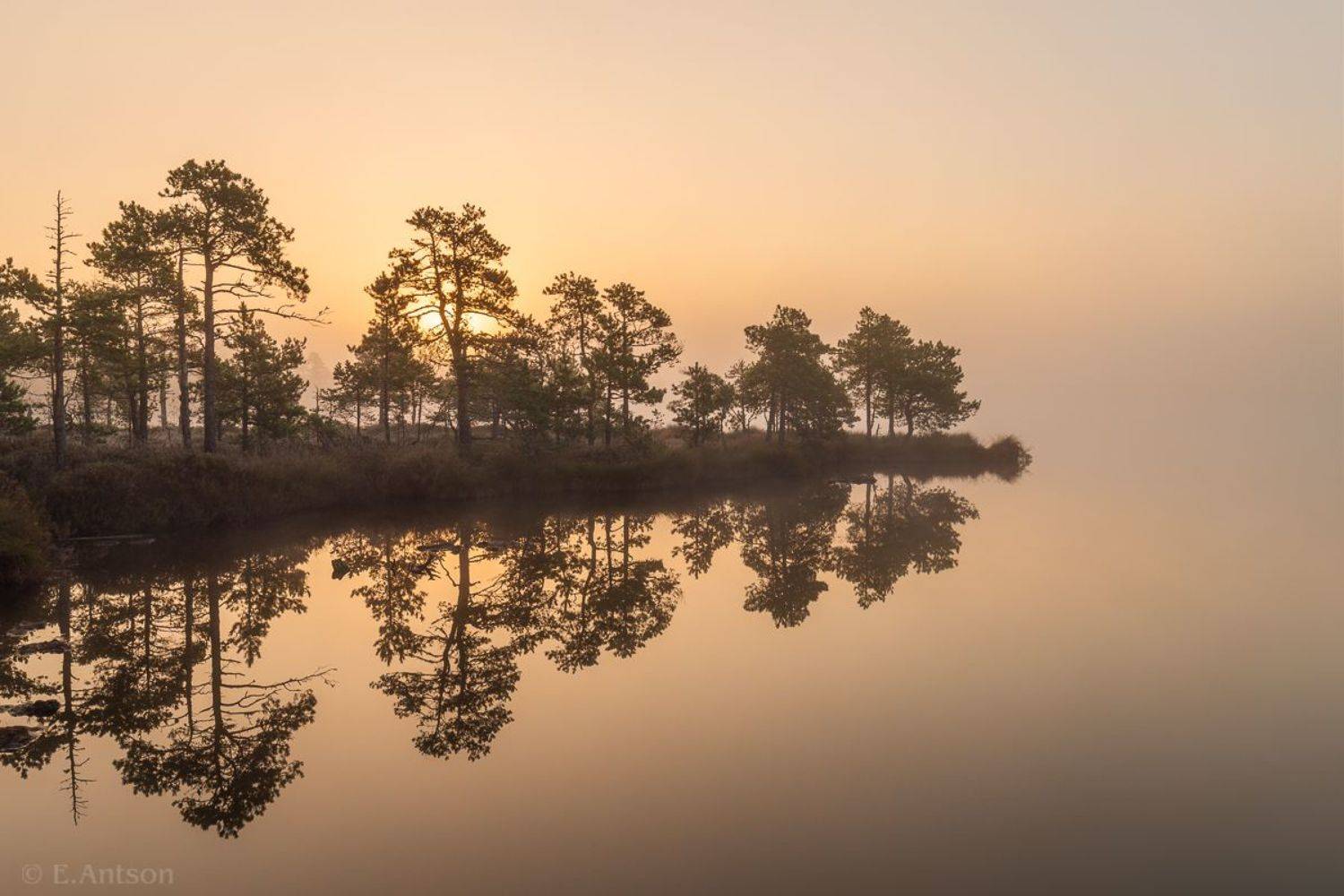 пейзаж, природа, болото, эстония, Elvis Antson