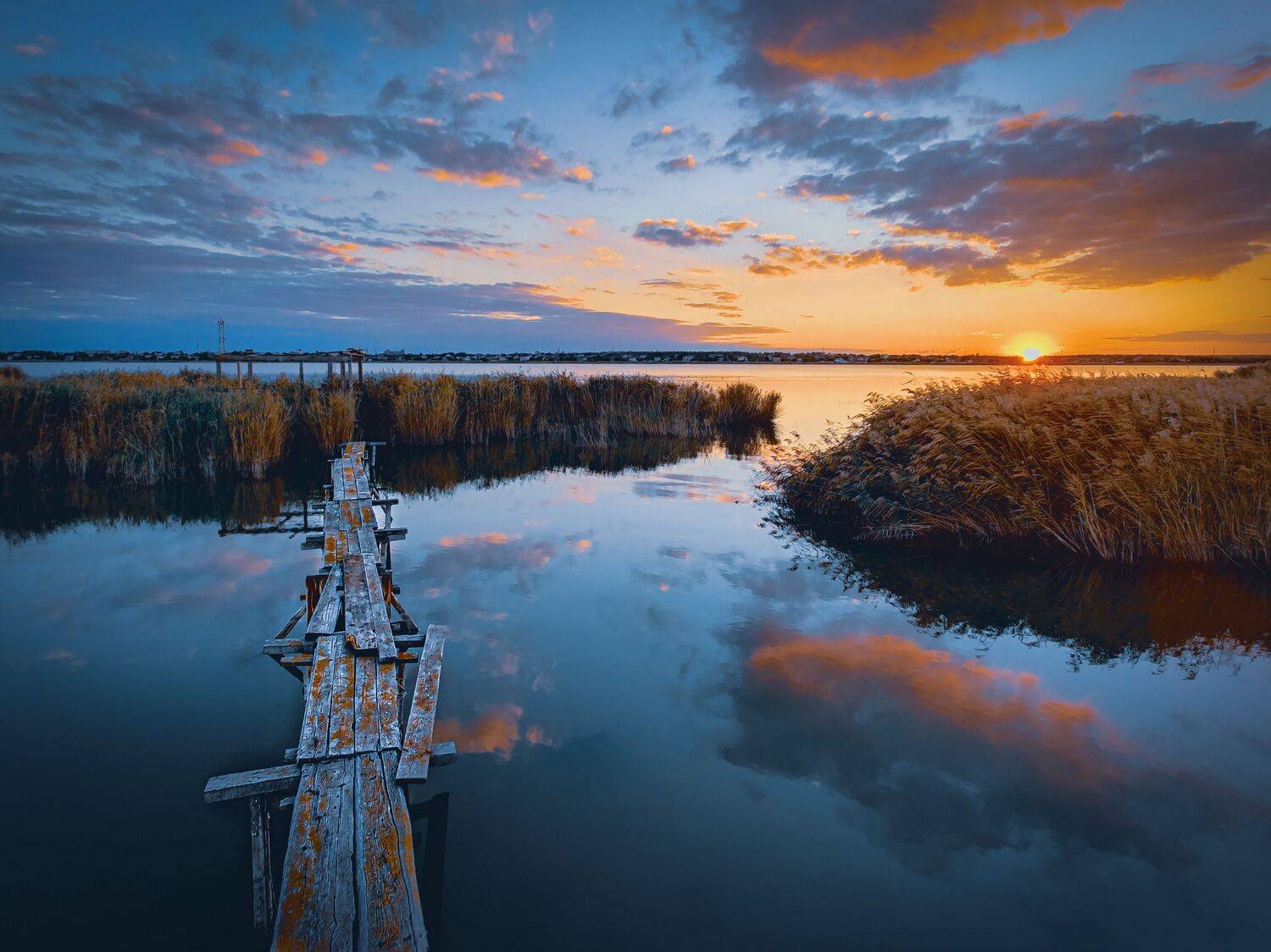 , Андрей Кривцов