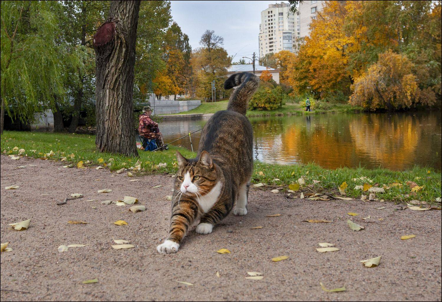 , Георгий Сапожников