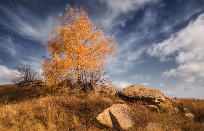 На крыльях осени. фото превью