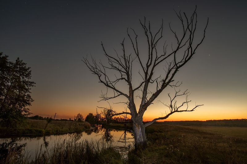 4197 фото превью