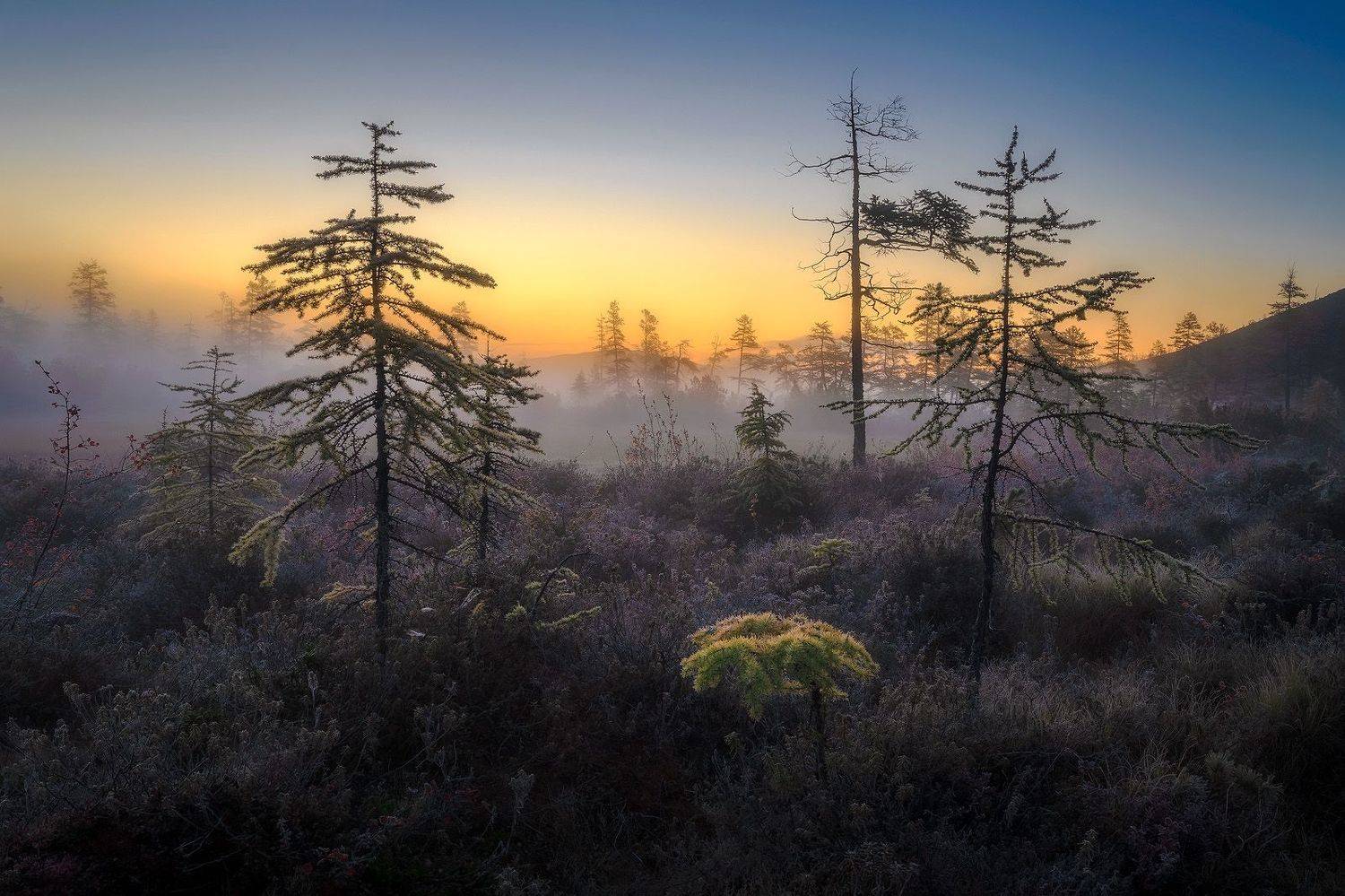 , Сергей Межин