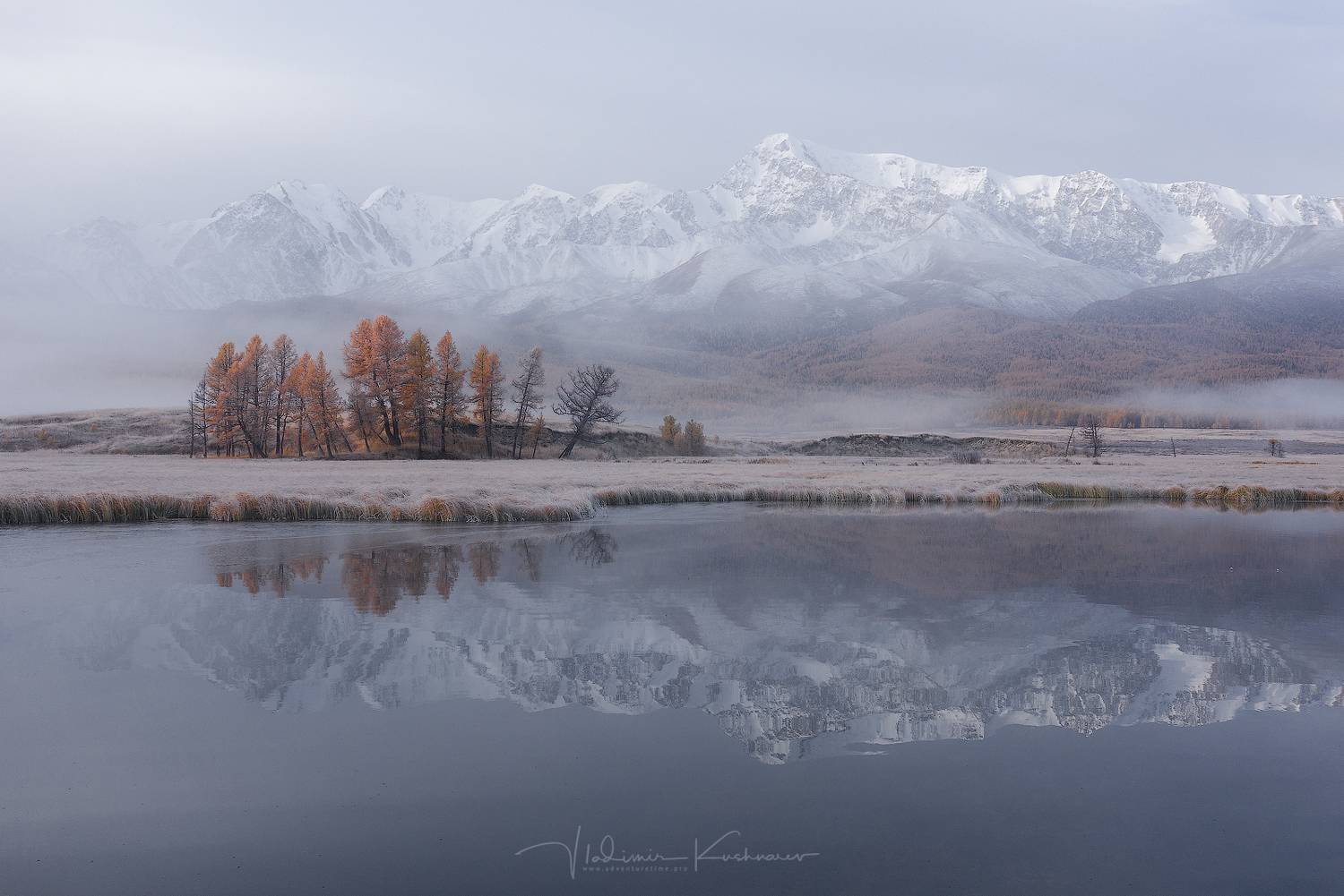 , Vladimir Kushnarev