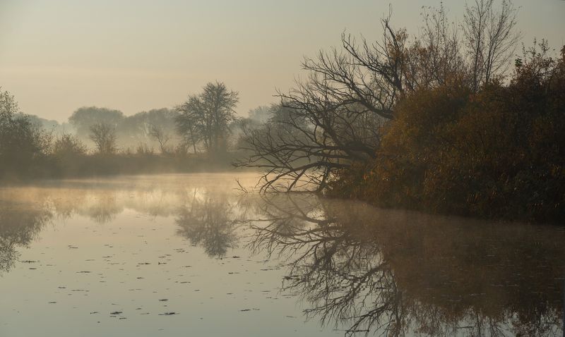 н о я б р ь фото превью