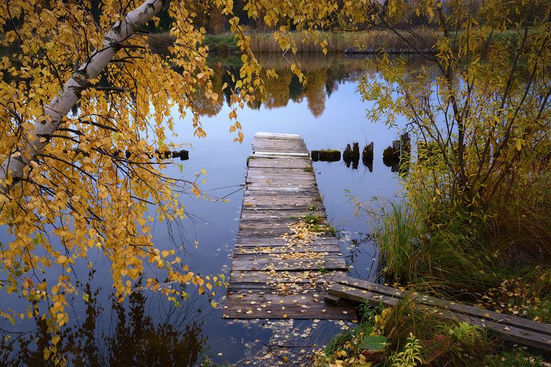 Золото осени фото превью