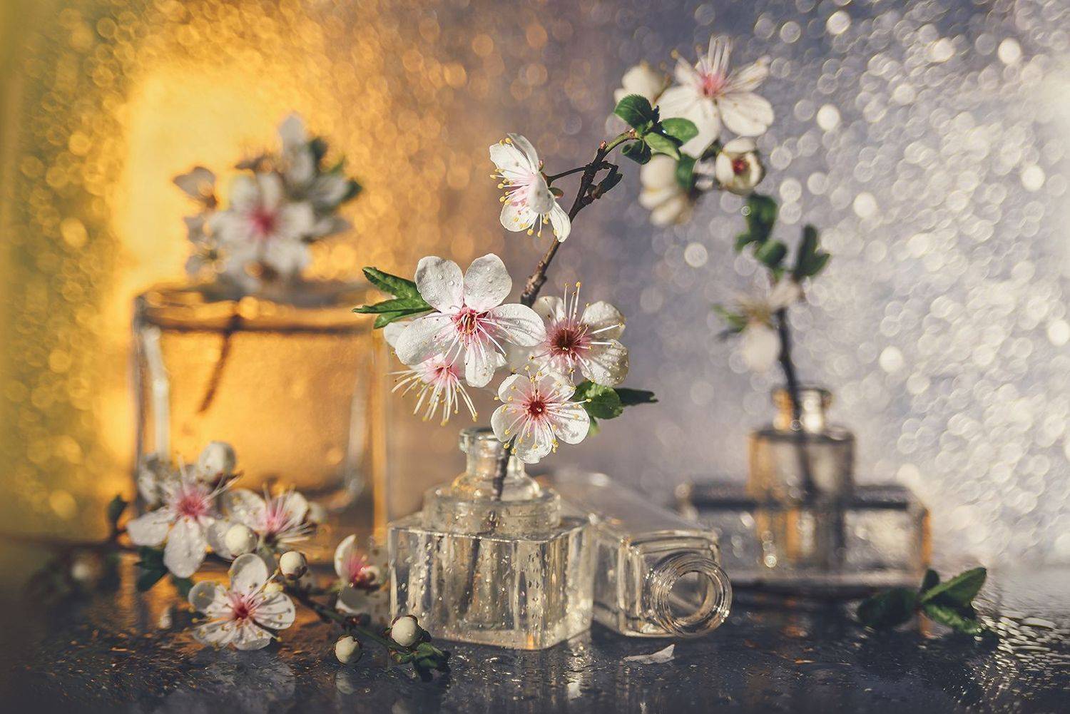 , MVO (Марк Орлов)