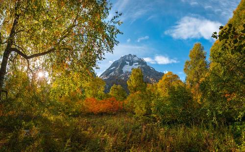 Разноцветье осени