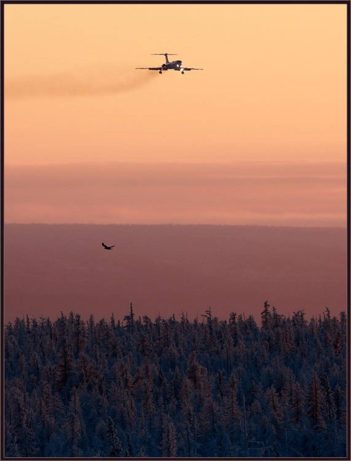 , Солодухин Виктор