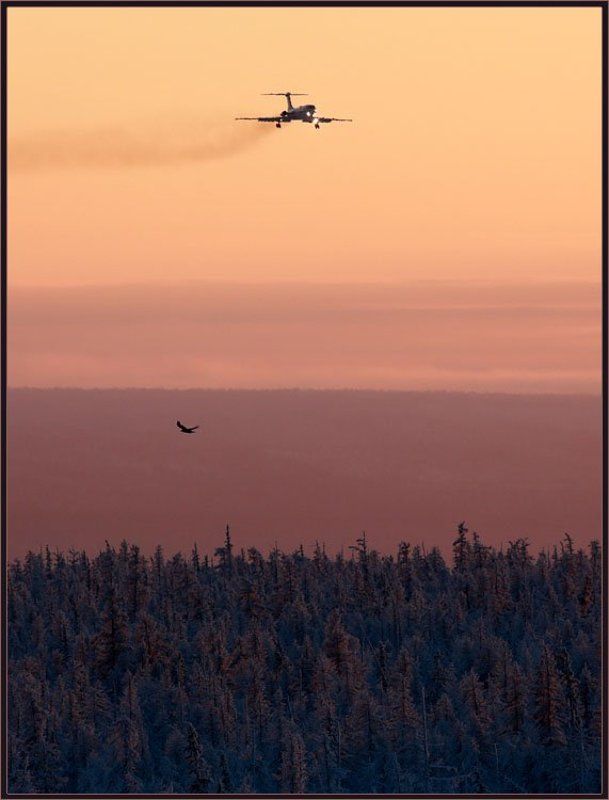 У каждого своя высота фото превью