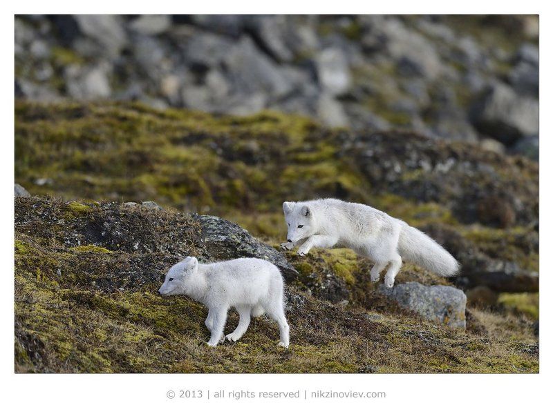 Любовь окрыляет! фото превью