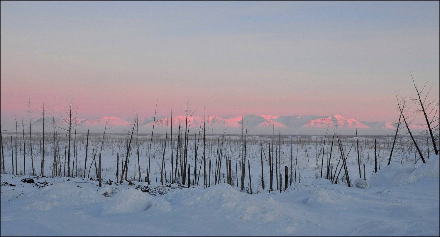 таймыр, Владимир