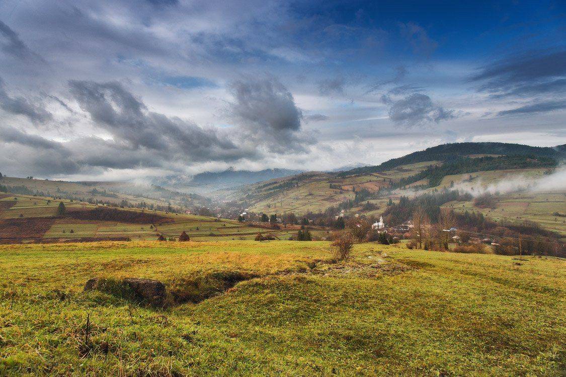 , Вейзе Максим