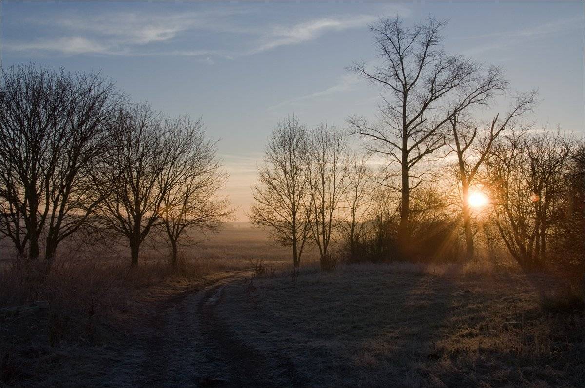 , Николай Шахманцир