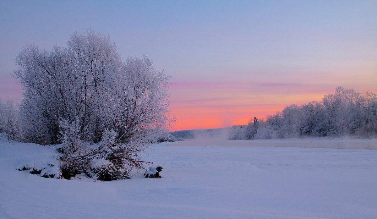 , Николай Морский