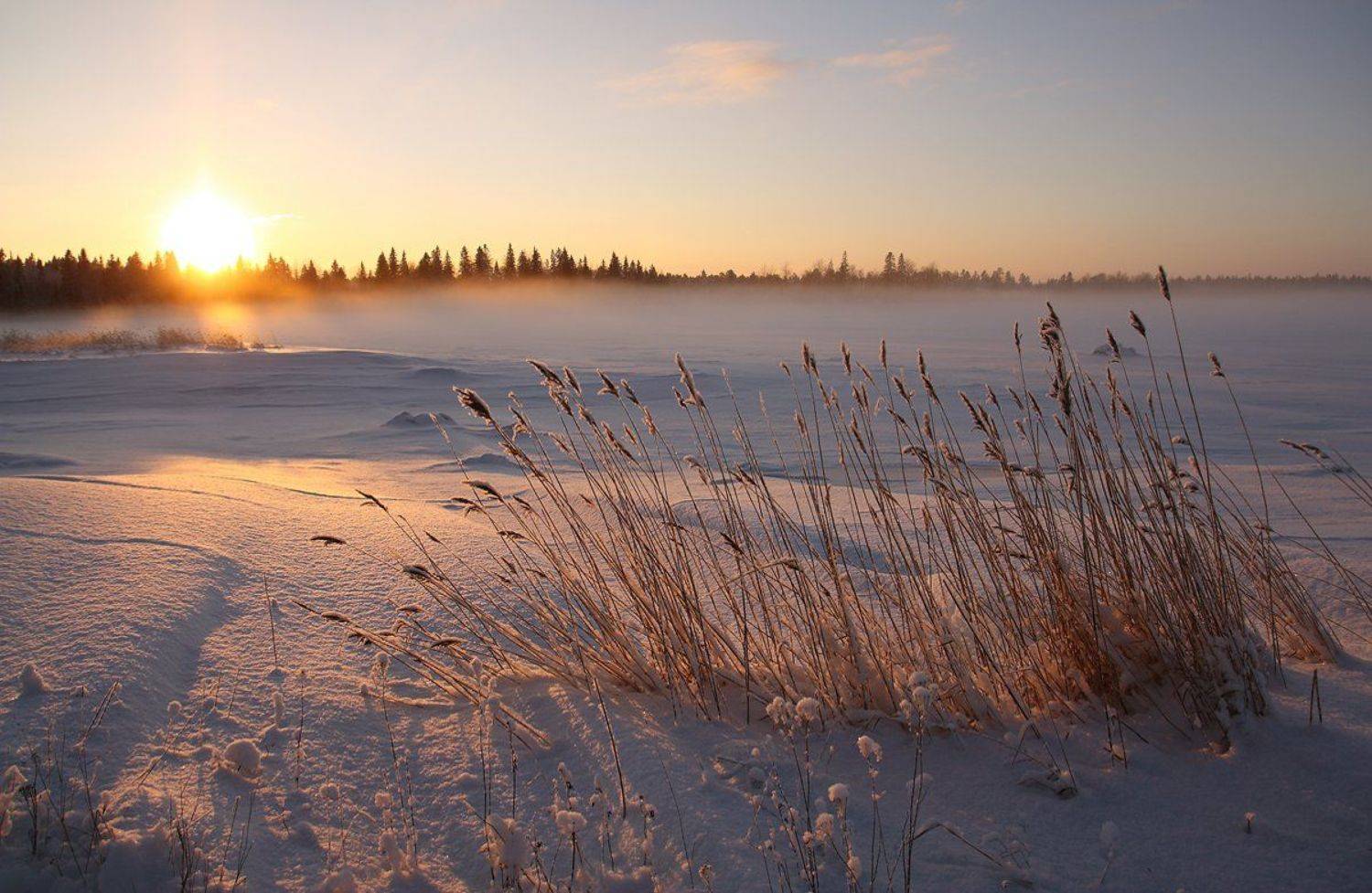 , Андрей Котов