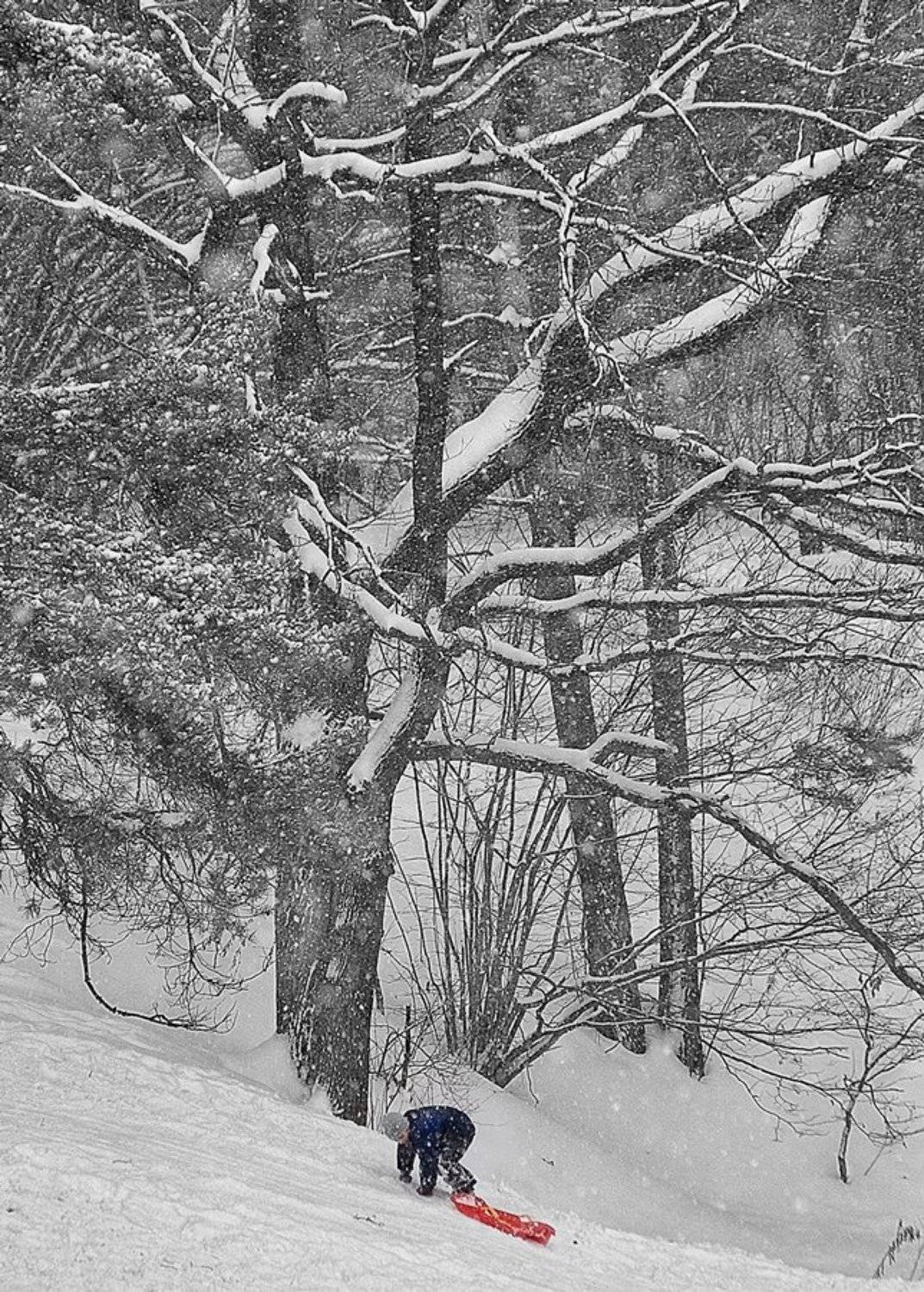 , Валерия Струнникова