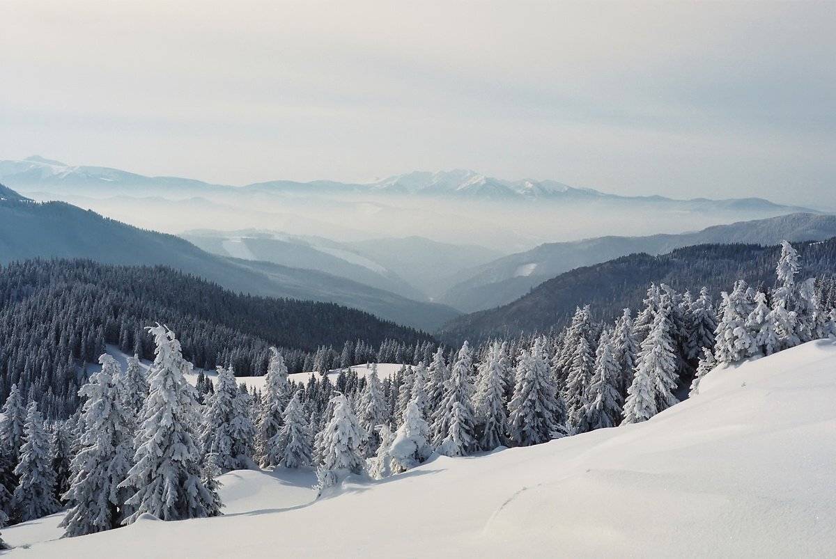 , Виталий Ра