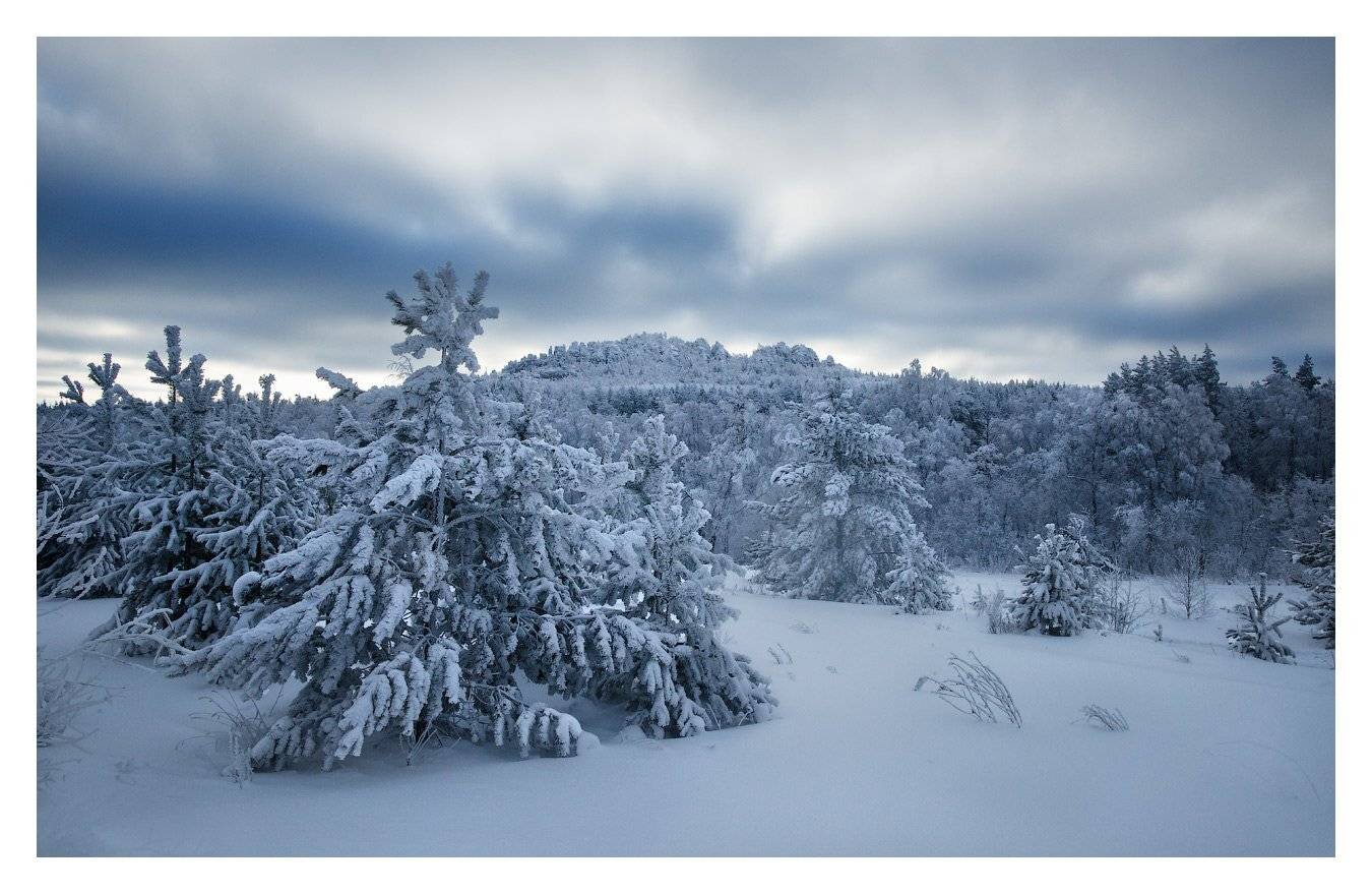 , Владимир Ляпин