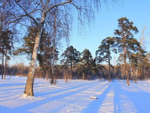Зимние зарисовки