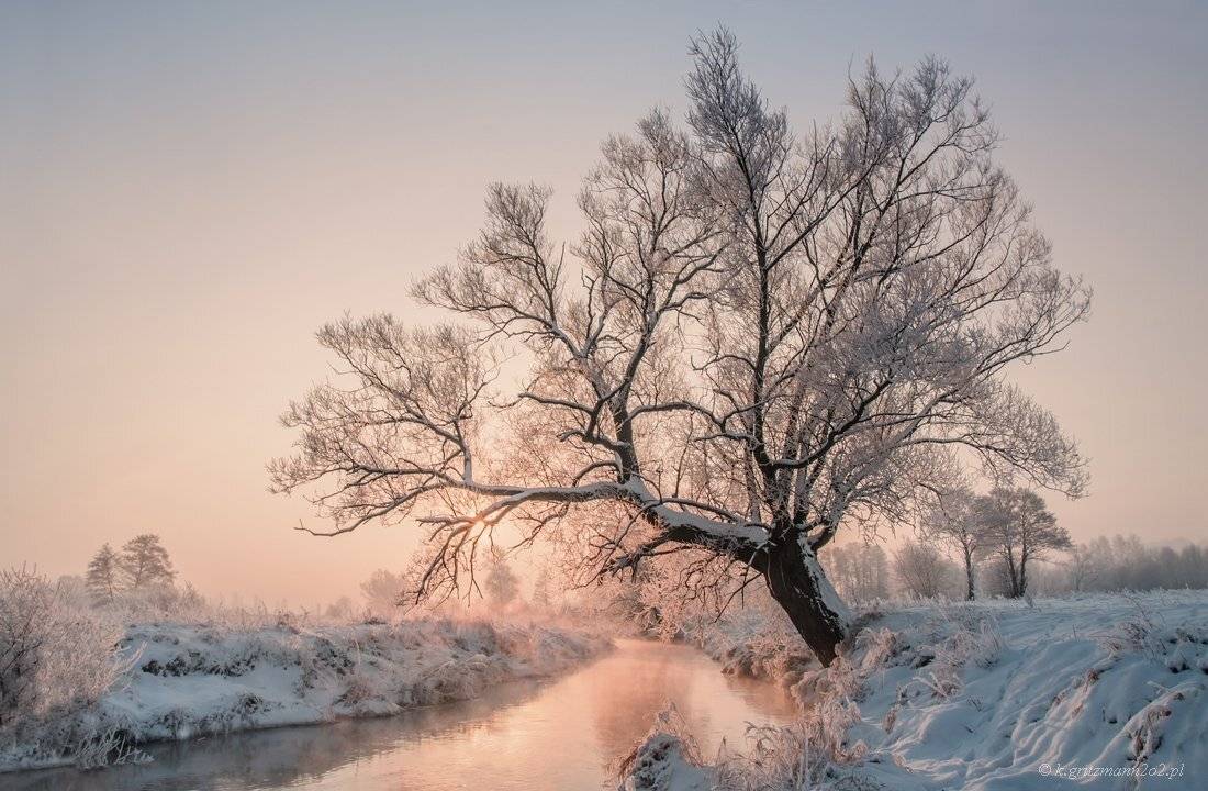 , Katarzyna Gritzmann