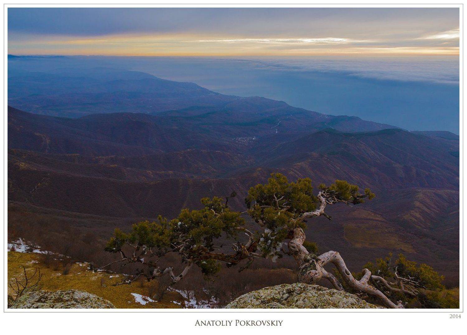 крым, зима, демерджи, южная демерджи, утро, сосна, тучи, Анатолий Покровский