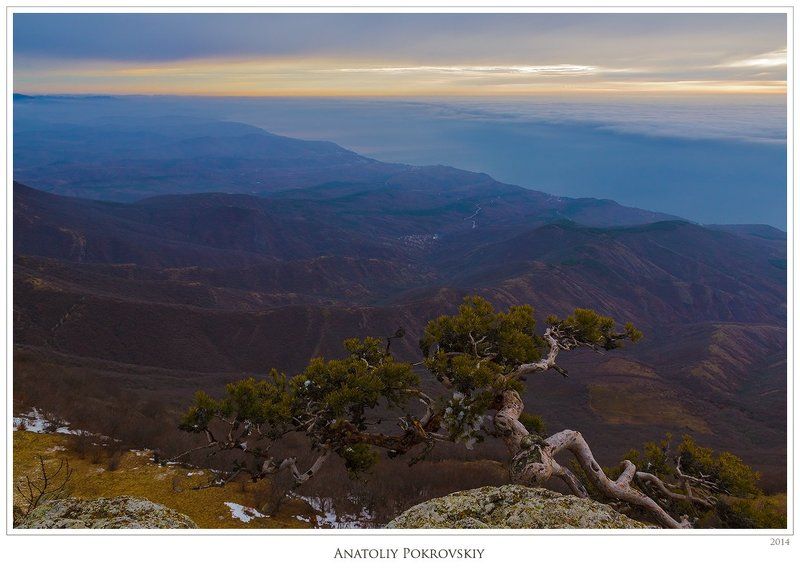 крым, зима, демерджи, южная демерджи, утро, сосна, тучи Утренние дали фото превью