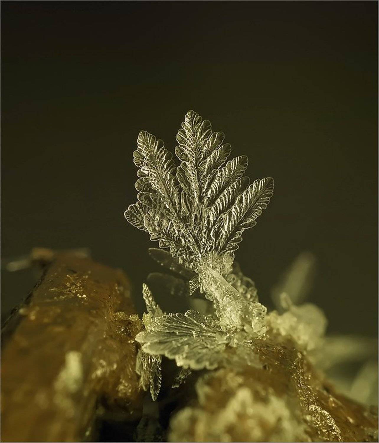 , Андрей Осокин