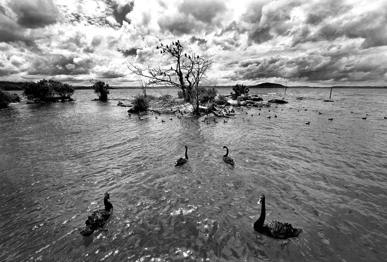 , Татьяна Гориловская