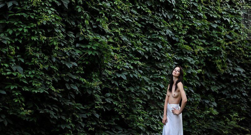 без названия фото превью