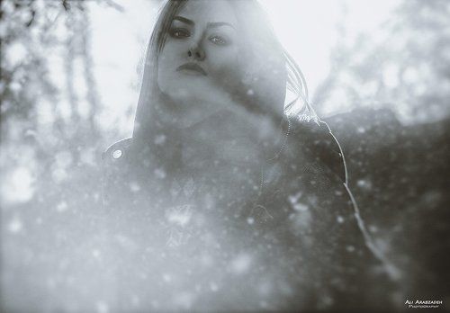 Lost In The Echo