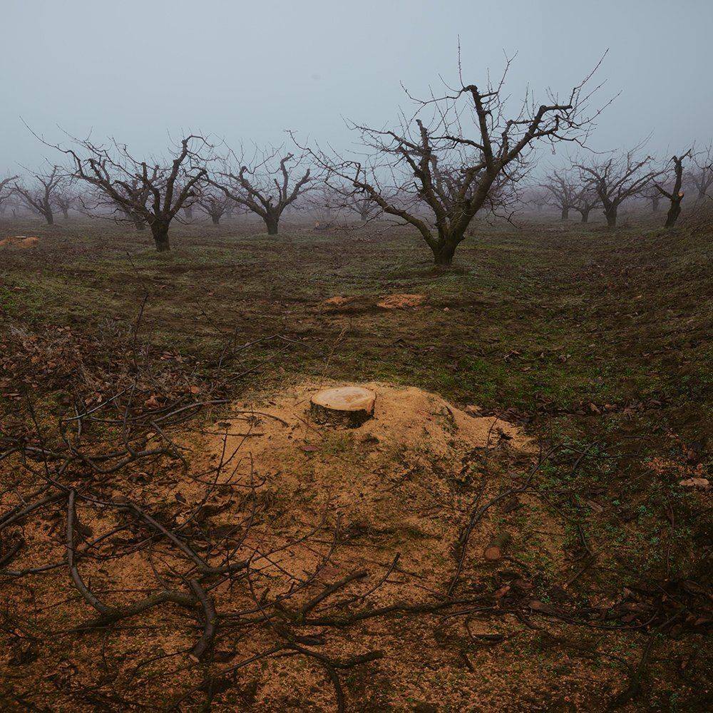 , Дeнис Бoдрoв