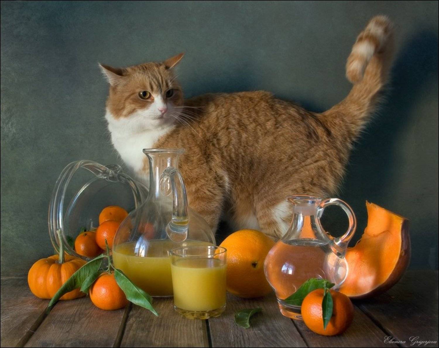 , Eleonora Grigorjeva