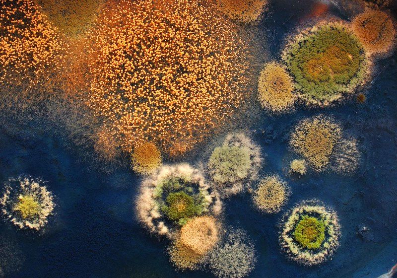 МИРЫ фото превью