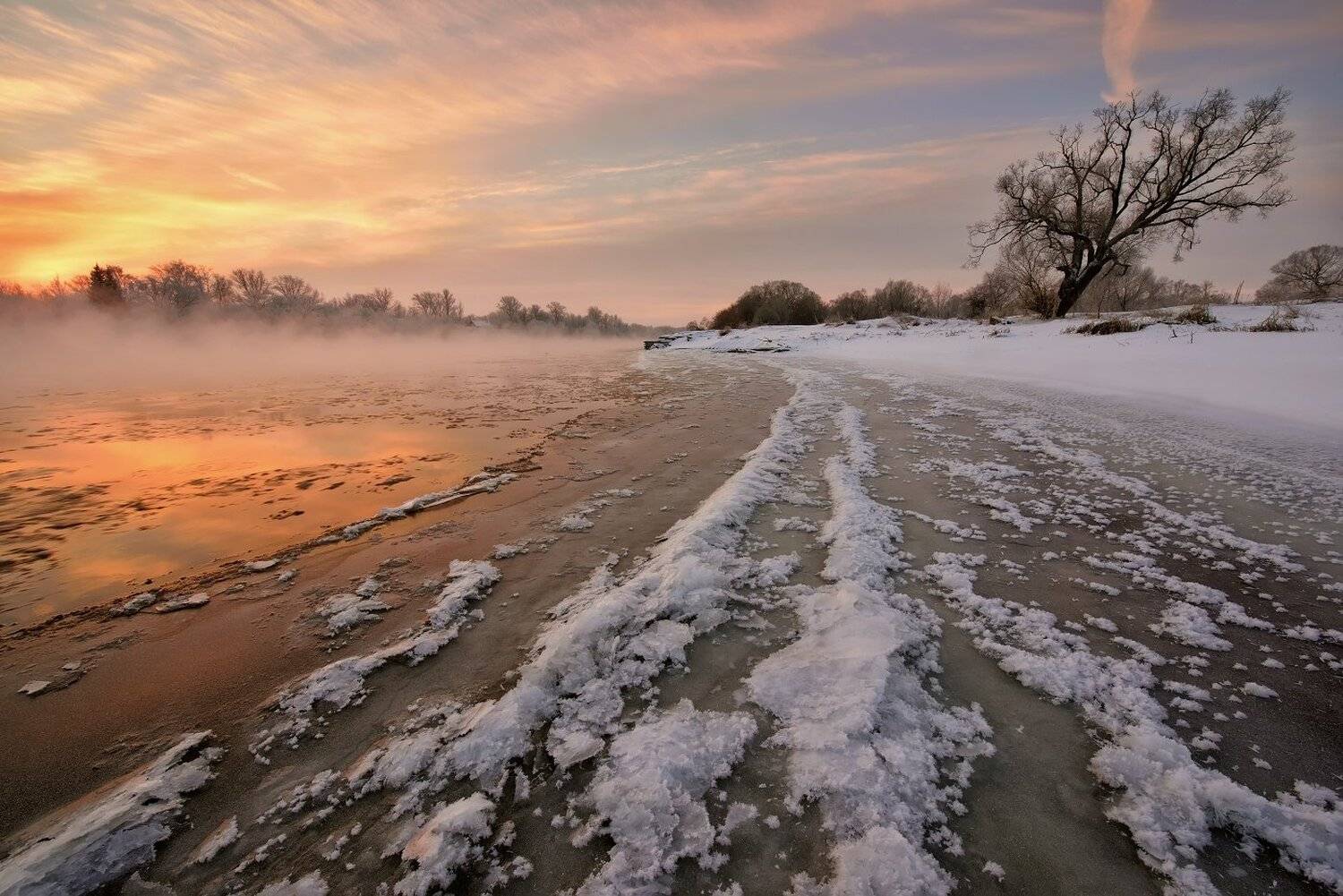 , Максим Евдокимов