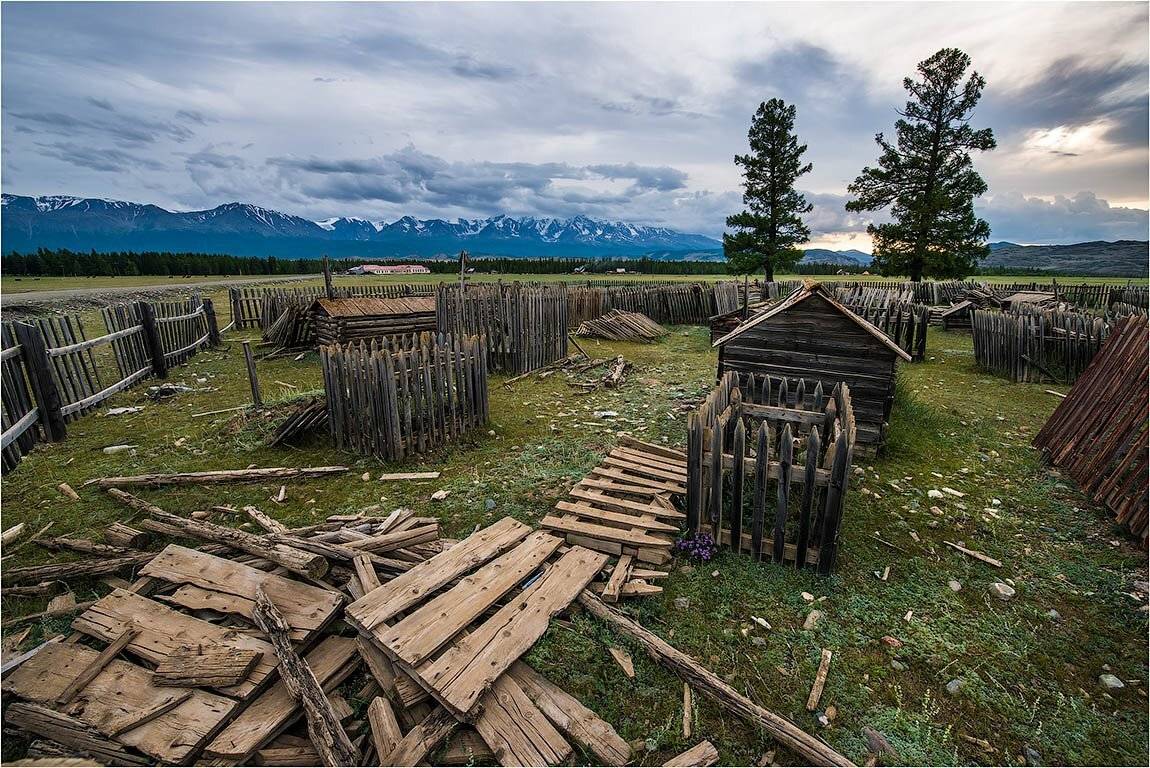 алтай., курайская, степь., Кутыгин Эдуард