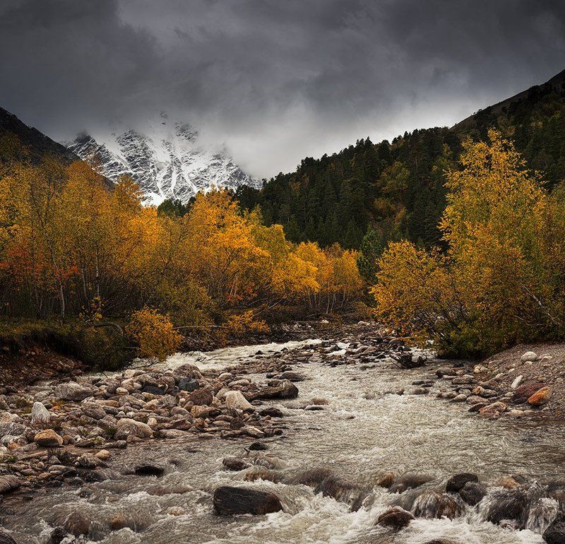 Золото гор фото превью