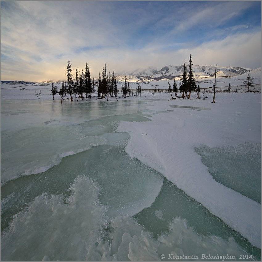 алтай, константин белошапкин, Курай, наледь, нетоскана, Январь, Константин Белошапкин