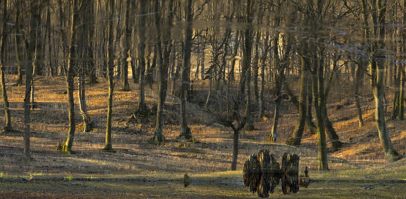 Отражения 3 фото превью