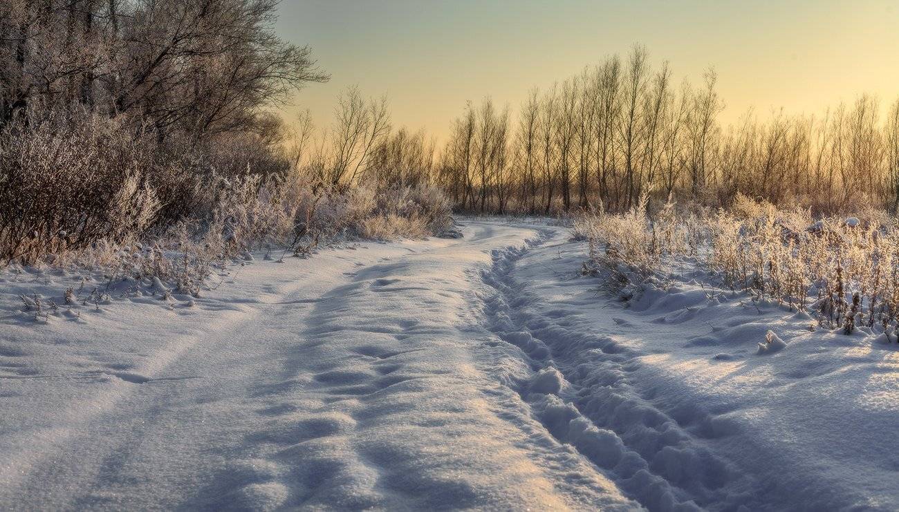 , Leonid Dyachenko