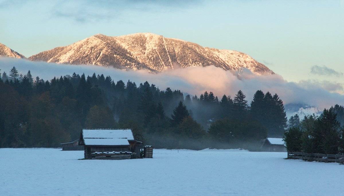 , Александр Удовиченко