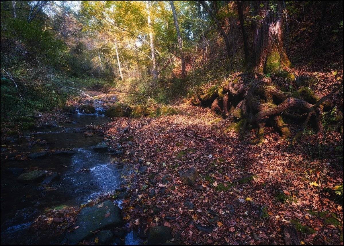 , Андрей Кровлин