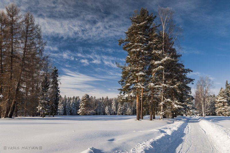 В Павловском парке .... О фото превью