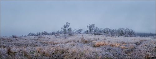 ...Такая разная Зима...