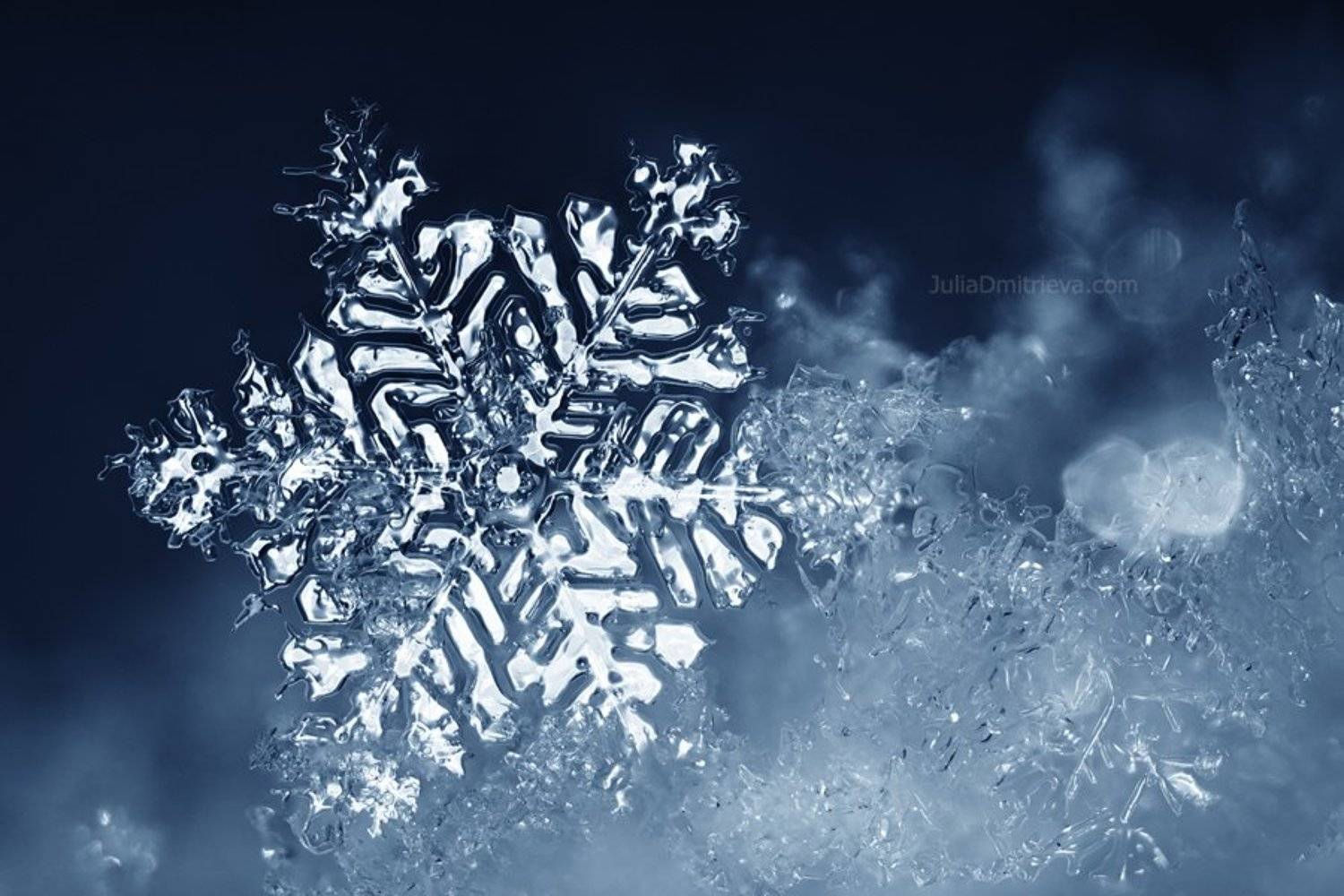 , Юлия Дмитриева