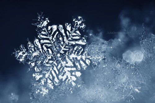 Melting snowflake