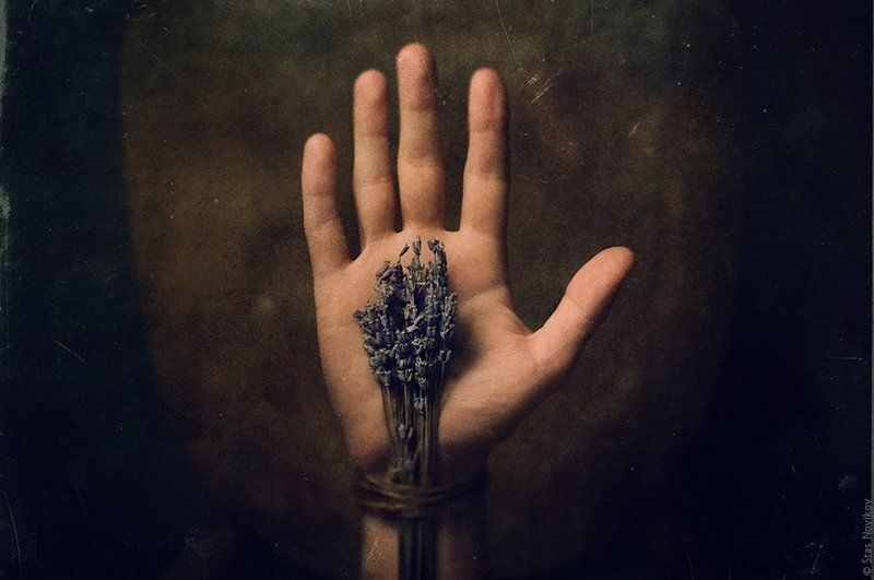 № 245 фото превью