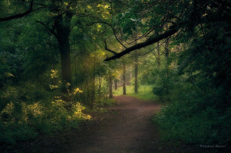 немножко лета фото превью