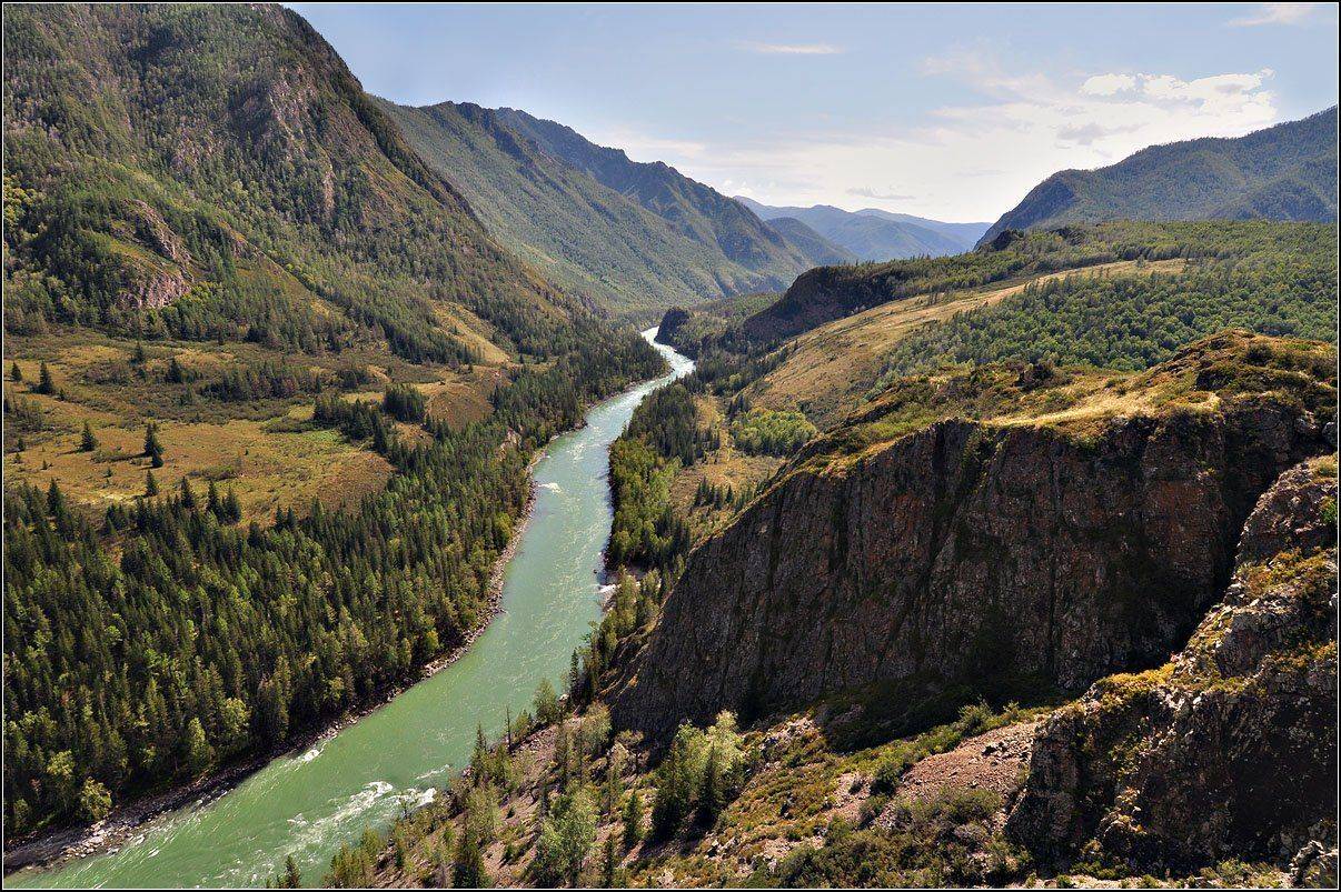 алтай,  лето, горы, тайга, АНАТОЛИЙ ДОВЫДЕНКО